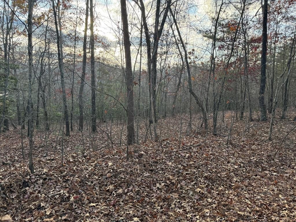 Plots and Land - 28/32 Stuart Ridge Road, Mineral Bluff, GA