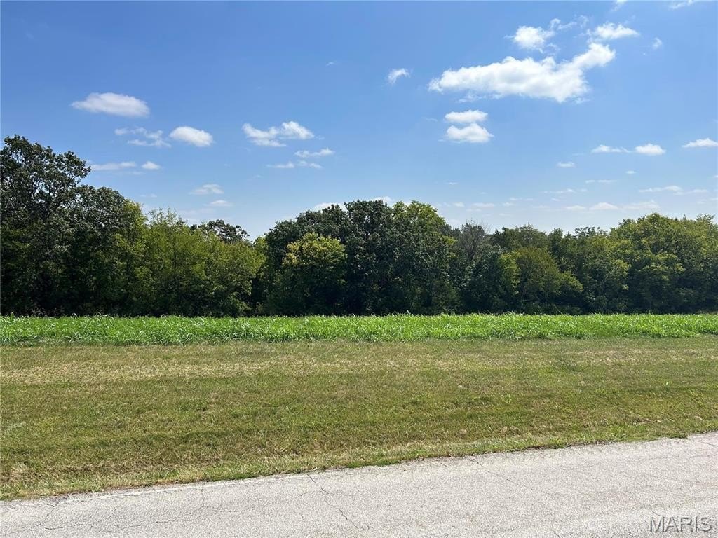 Other - 4909 Elder Rd, Villa Ridge, MO