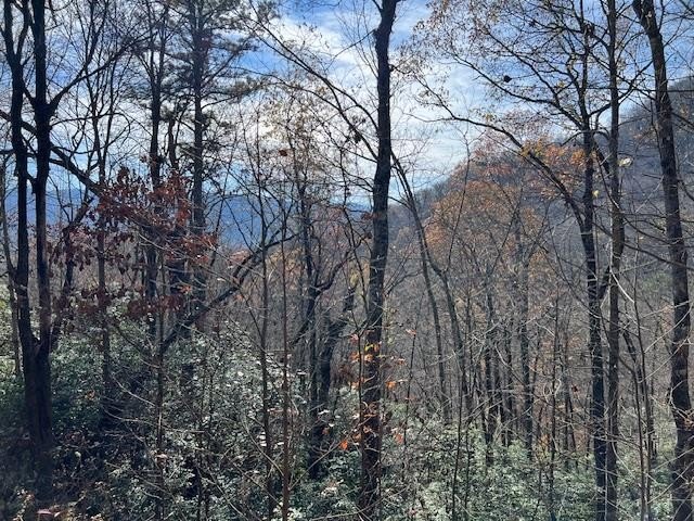 Other - Lot 19 The Highlands, Hiawassee, GA