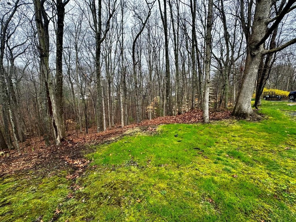 Other - 110 EASTVIEW LANE, BECKLEY, WV