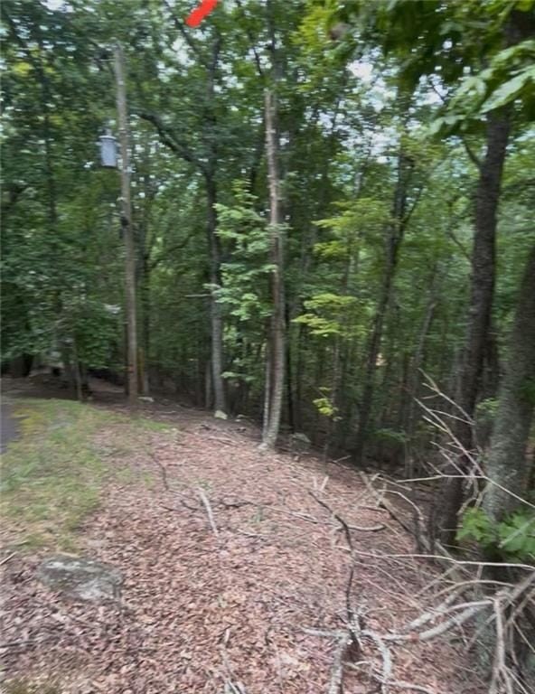Other - 110 Siddiqui Court, Waleska, GA