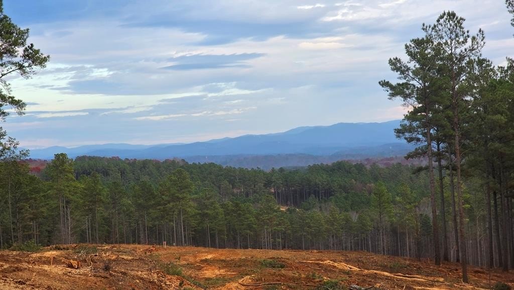 Other - 108 Staunton Court, Ellijay, GA