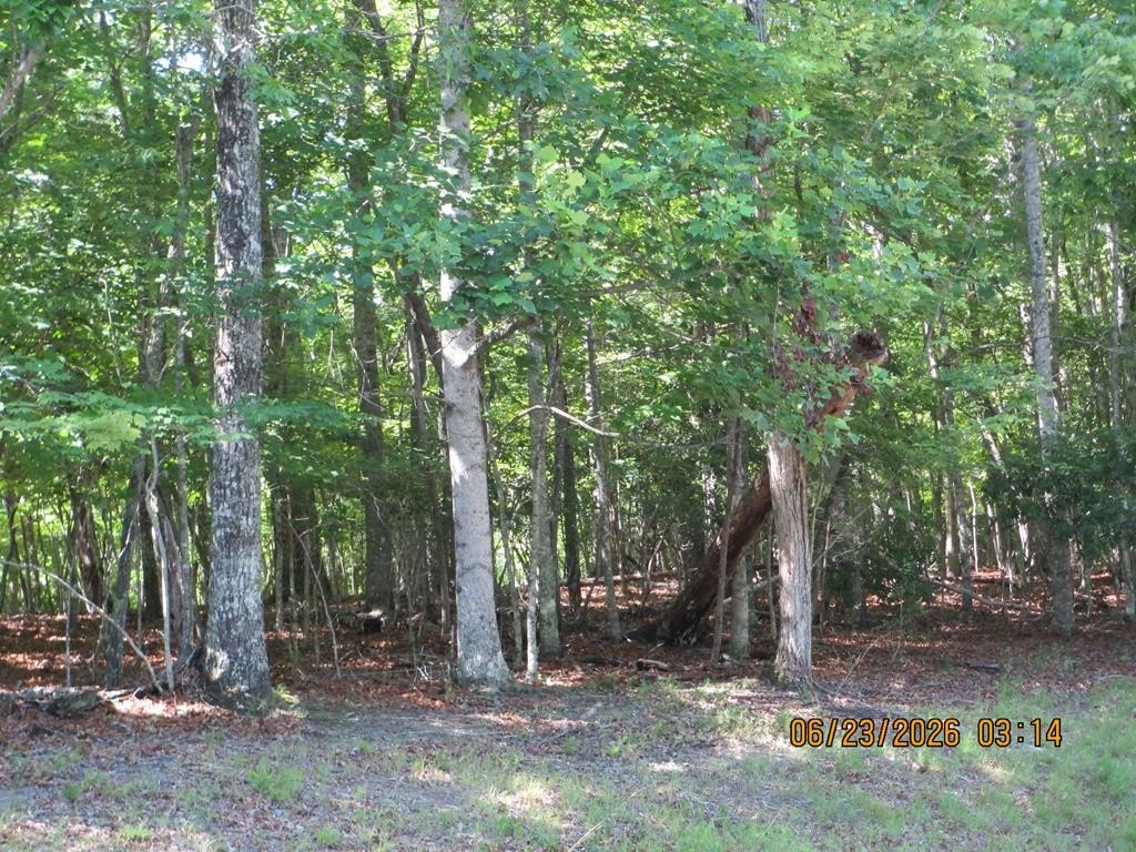 Other - Quail Cove Circle lot: 8, Warne, NC
