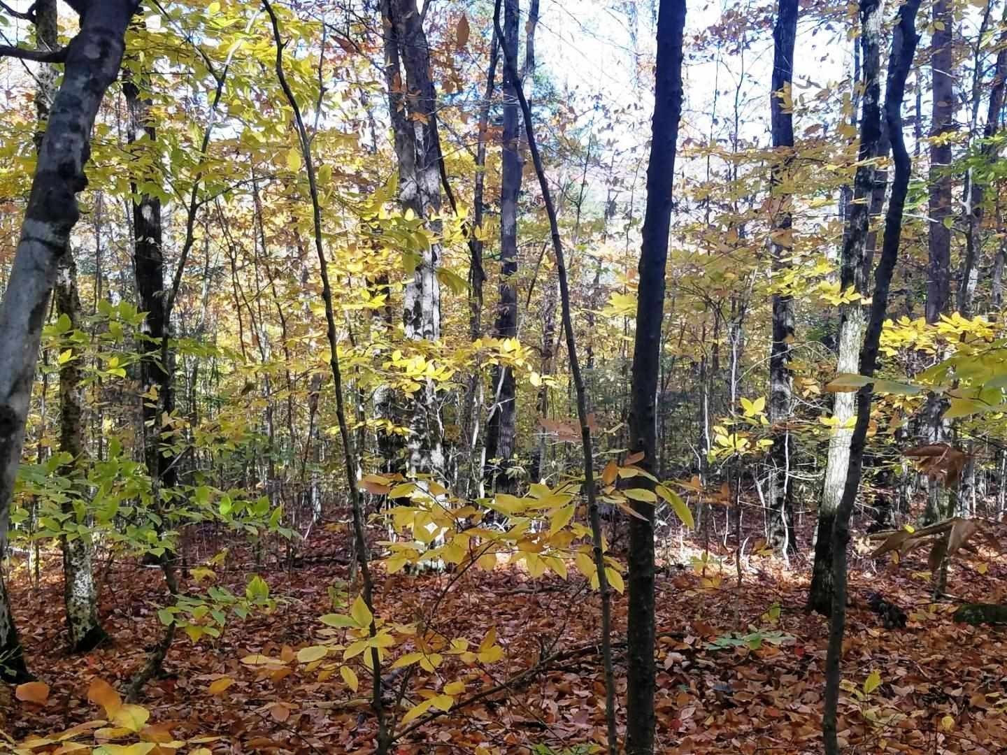 Other - 12-10 Boulder Drive, Campton, NH
