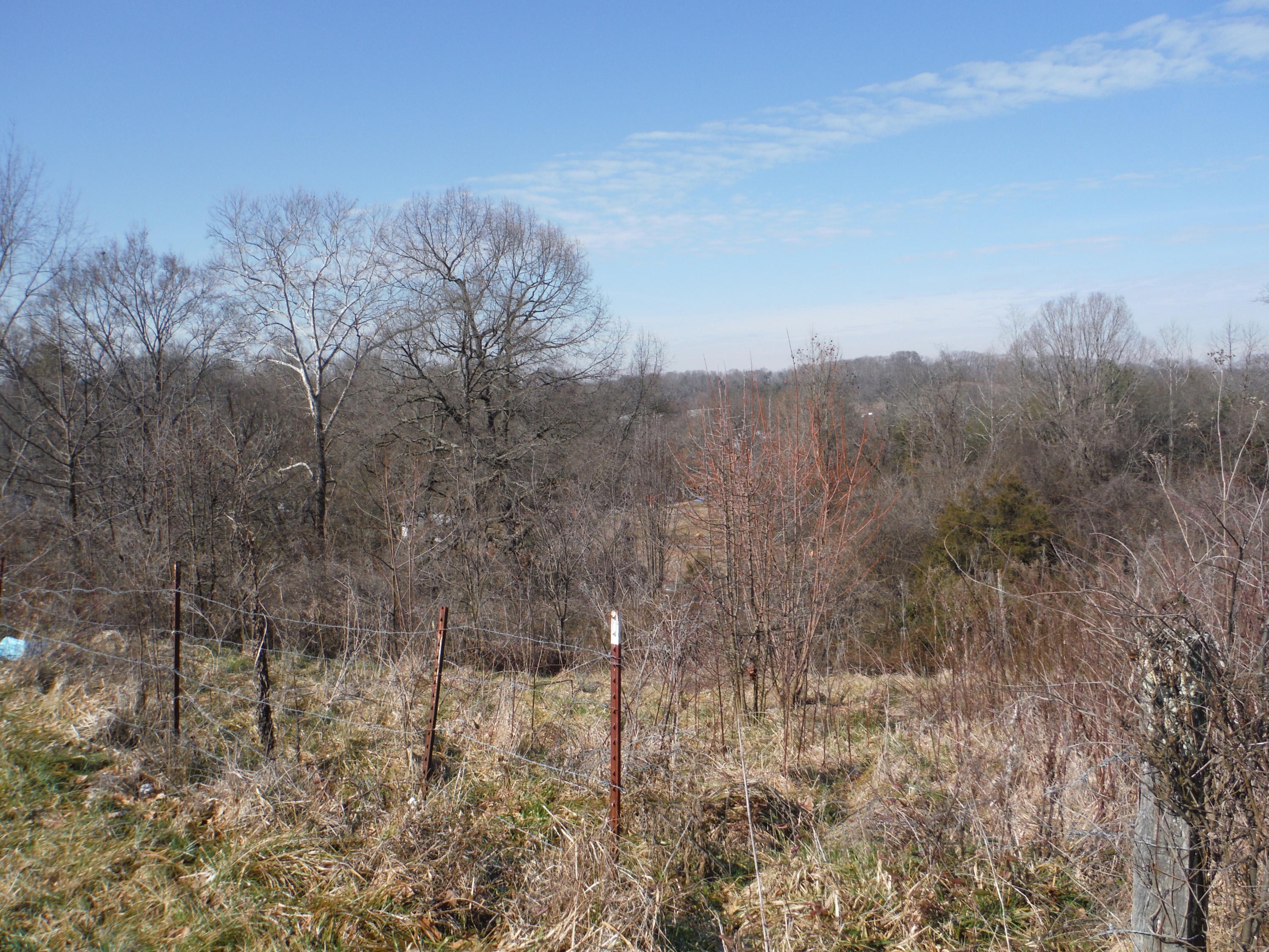 Other - Locust Street, Greeneville, TN
