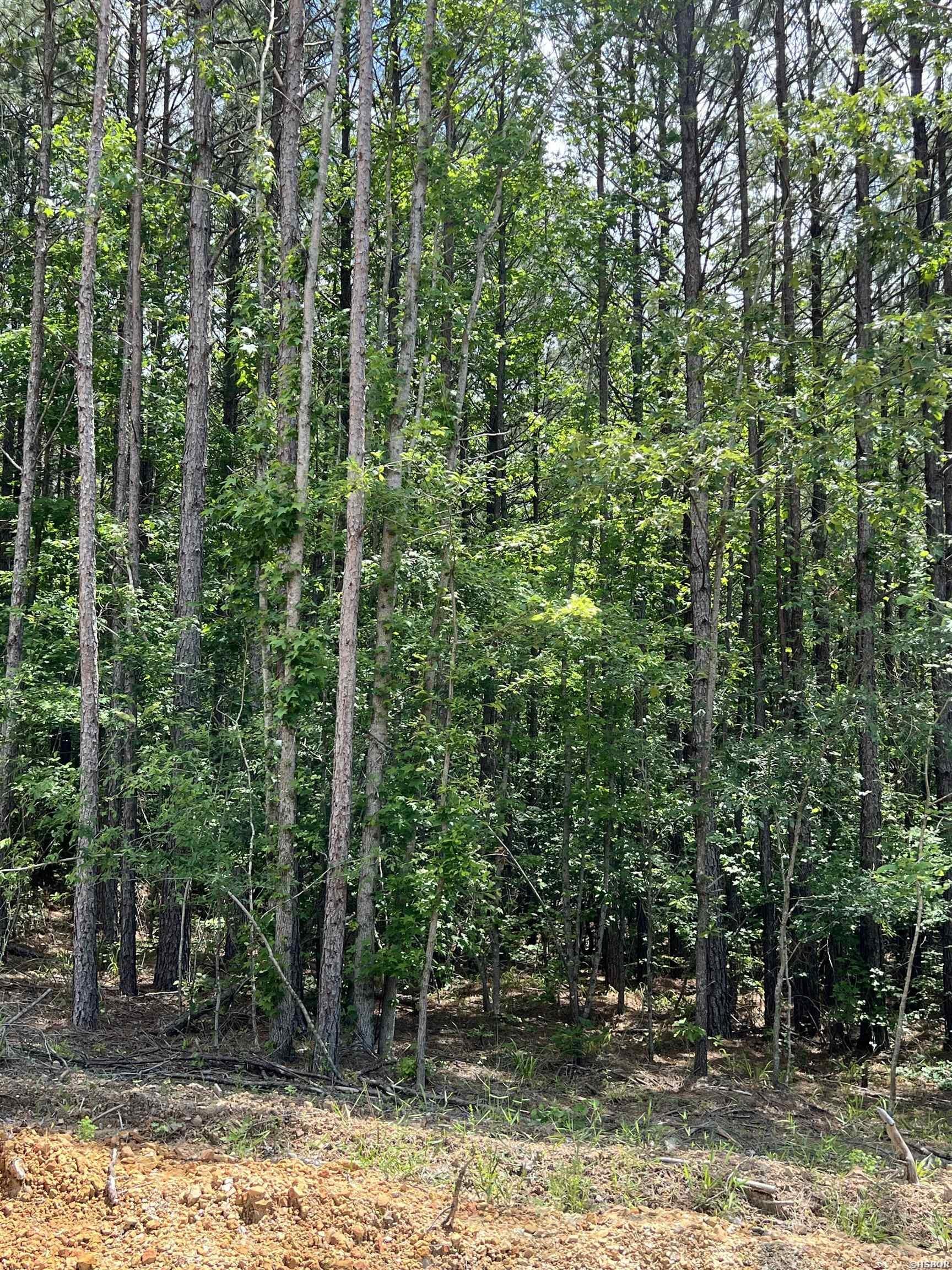 Single Family - XX lot 10 CASTLE, Glenwood, AR