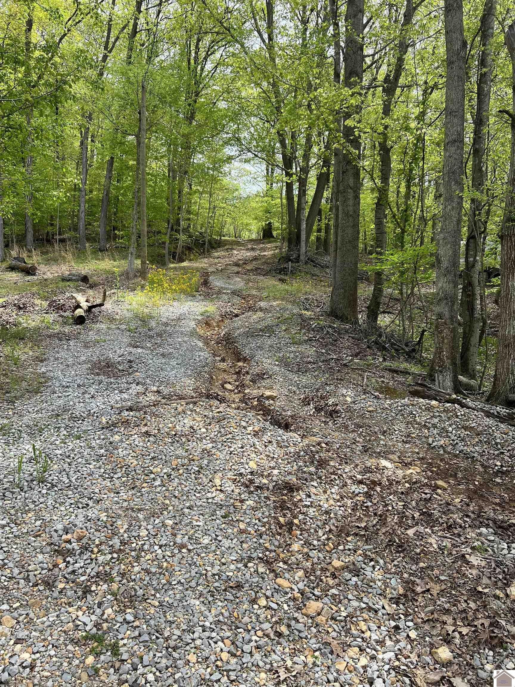 Other - 0000 Blake Road, Eddyville, KY