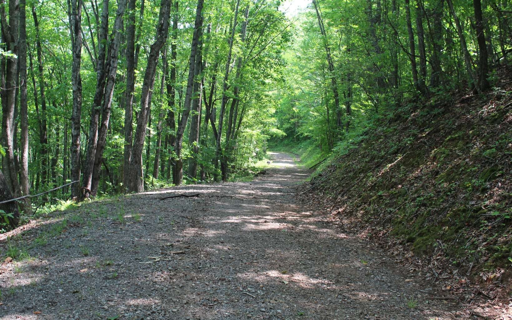 Other - Lt 73 Shiloh, Hayesville, NC