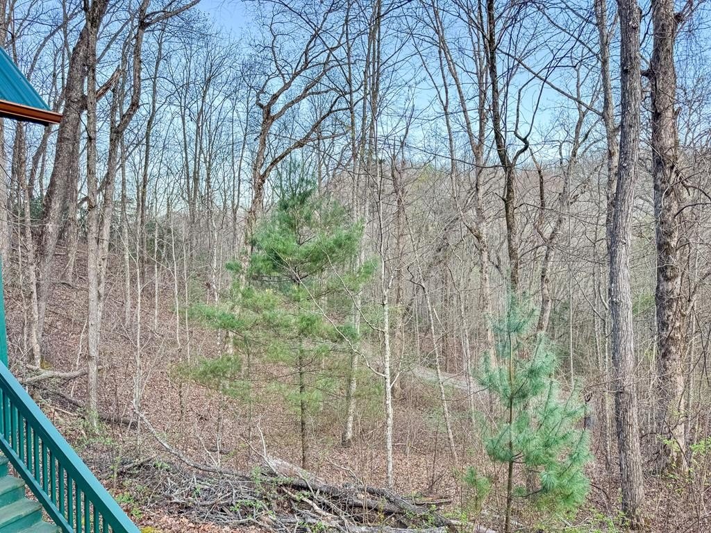Other 2BR 2BA - 157 Frontier Drive, Hayesville, NC