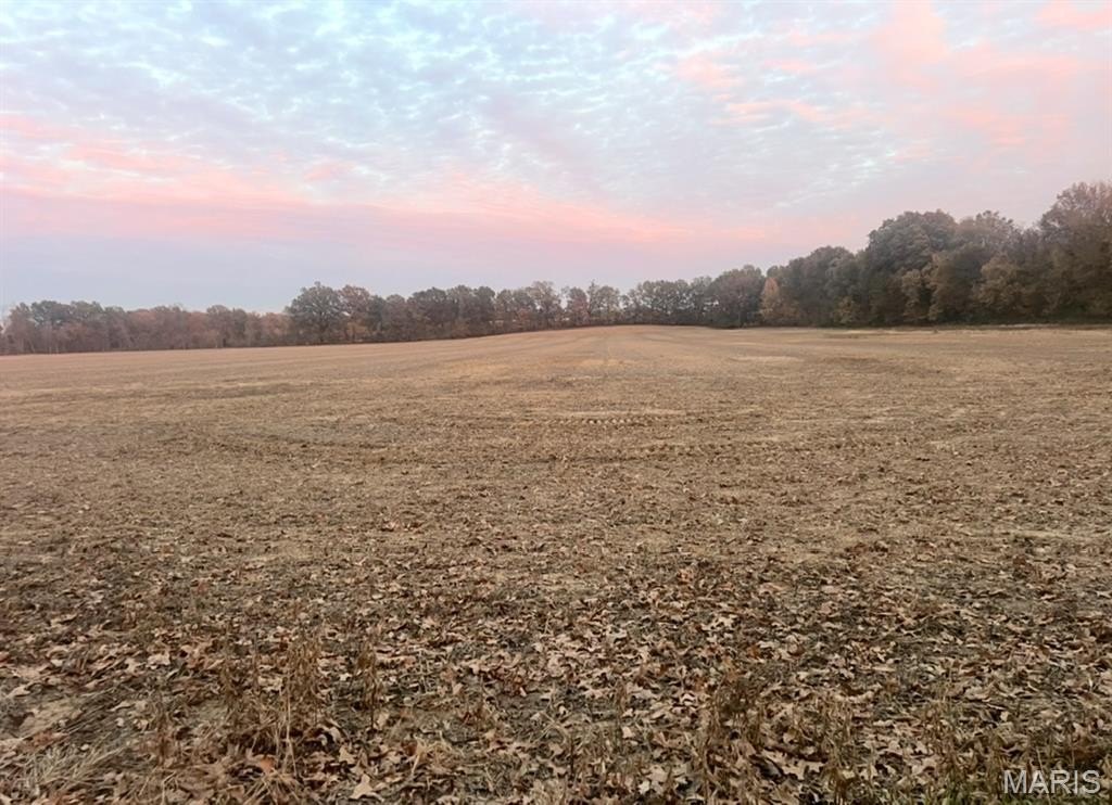 Plots and Land - 0 County Road 237, Bloomfield, MO