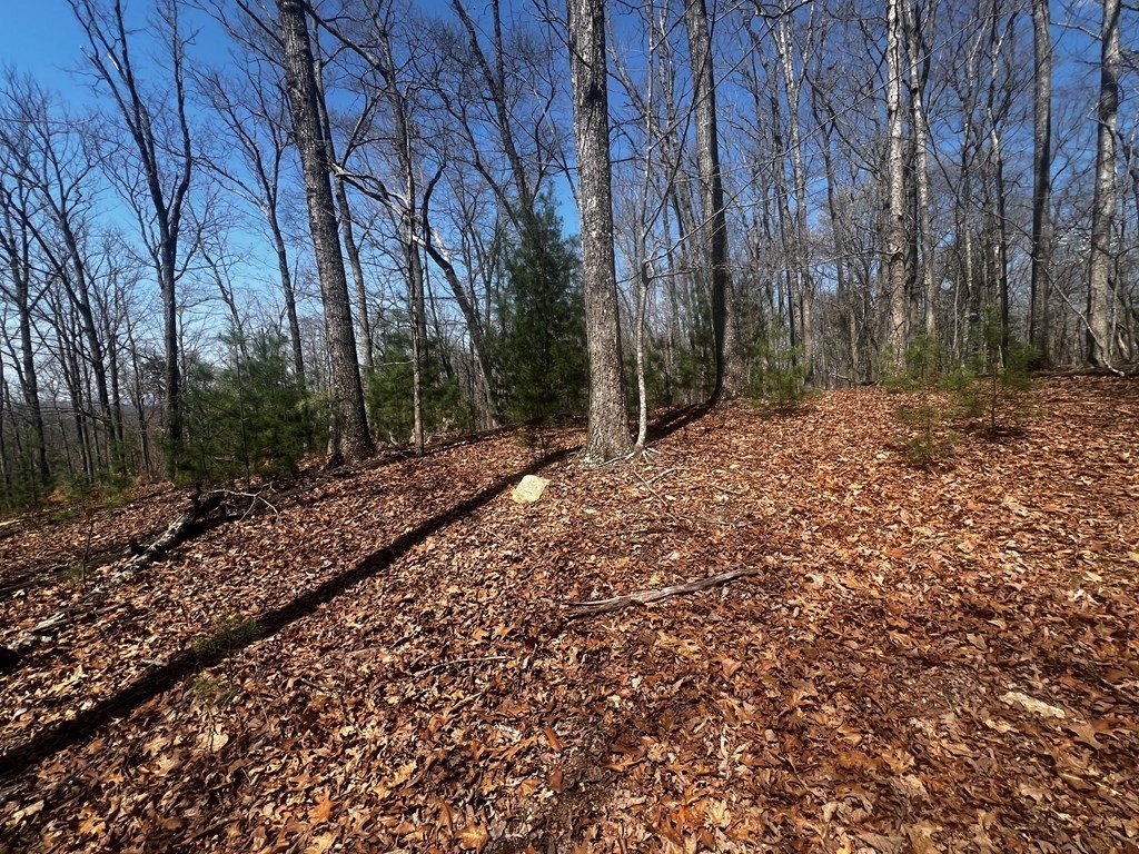 Other - Lot 5 High Country Lane, Morganton, GA
