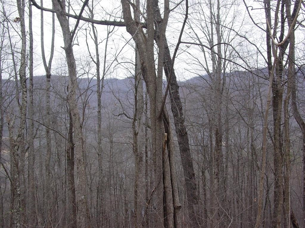 Other - #16 Roaring Ridge, Hiawassee, GA
