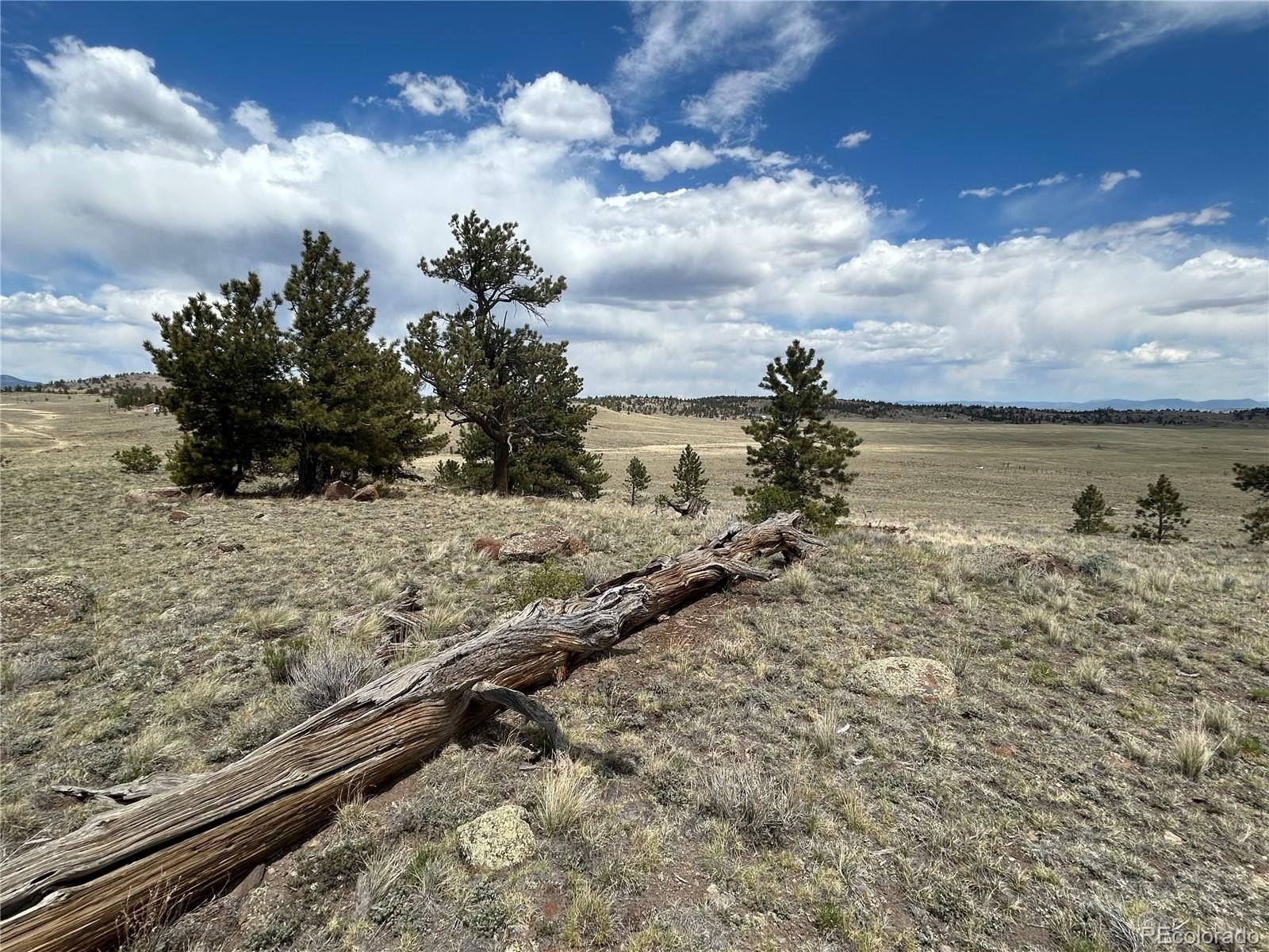 Plots and Land - 591 Singletree Court, Hartsel, CO