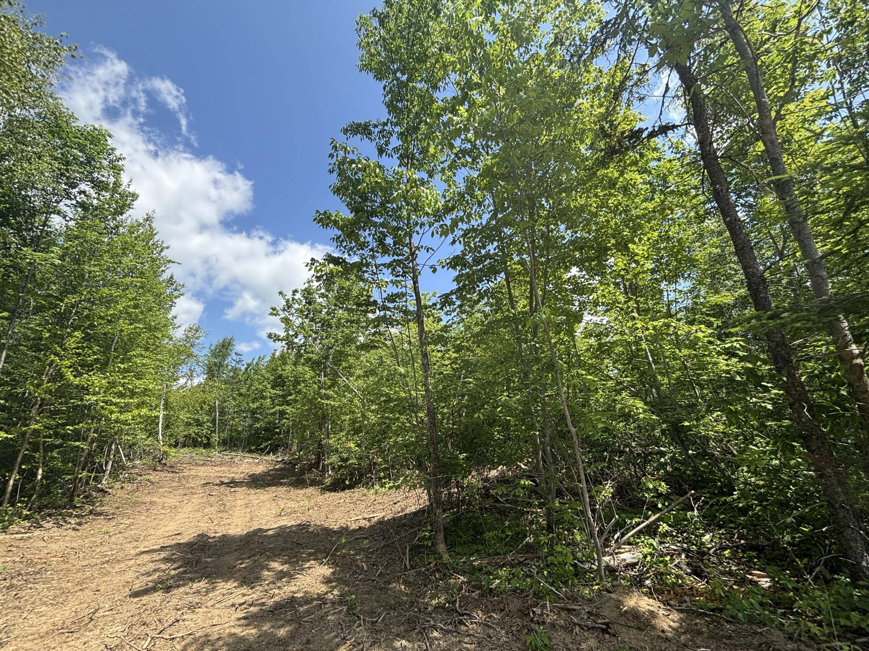 Other - McDonald Road lot: A, Littleton, ME