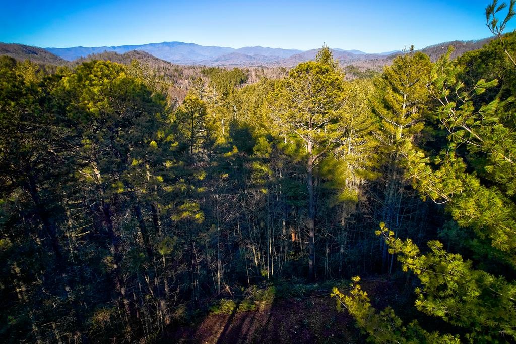 Other - Piney Cove, Bryson City, NC