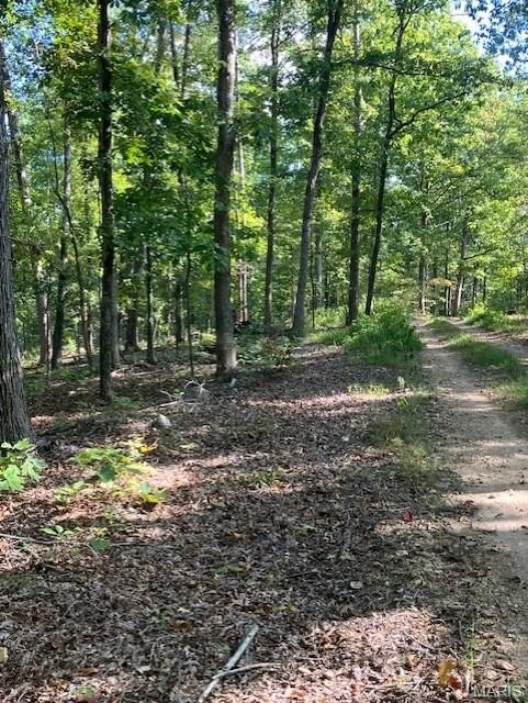Other - 119a Madison CR 410, Fredericktown, MO