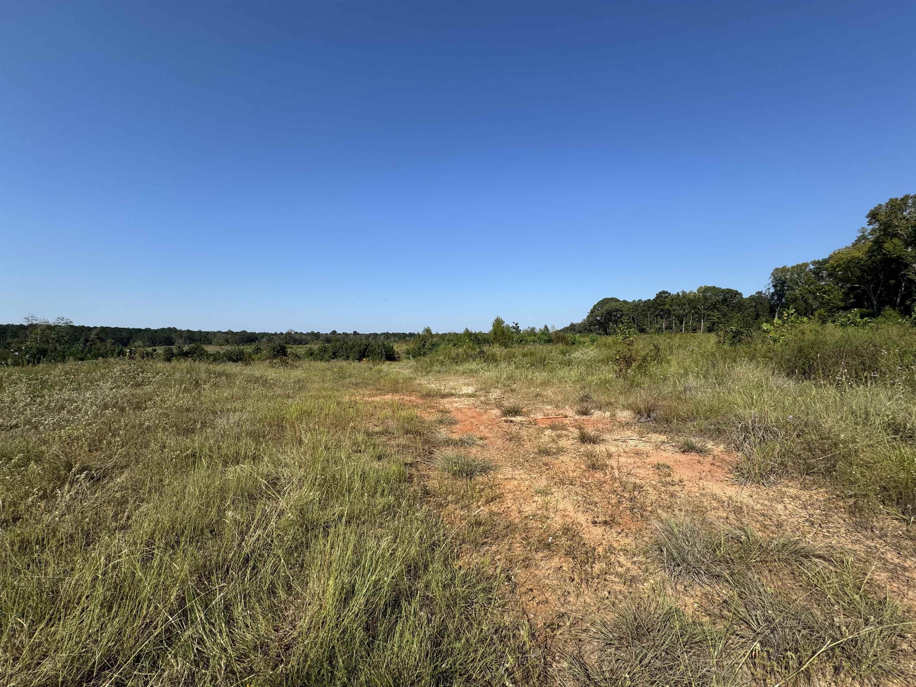Other - 79229 Highway 96, Brookeland, TX