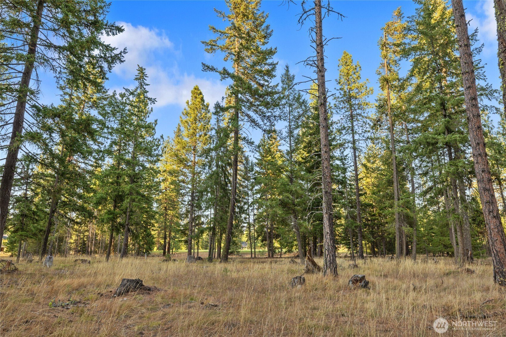 Other - 32 Domerie Park Loop, Cle Elum, WA