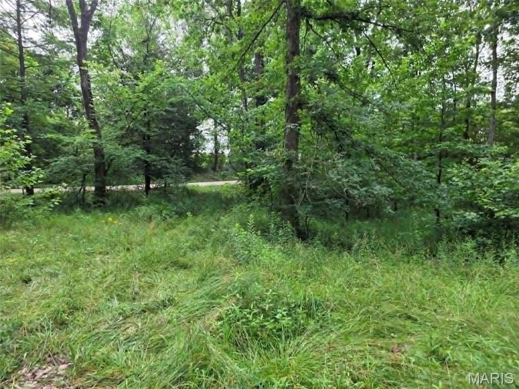 Manufactured Housing 2BR 2BA - 951 County Road 514, Wappapello, MO