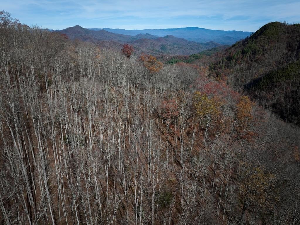 Other - E Silvermine, Bryson City, NC