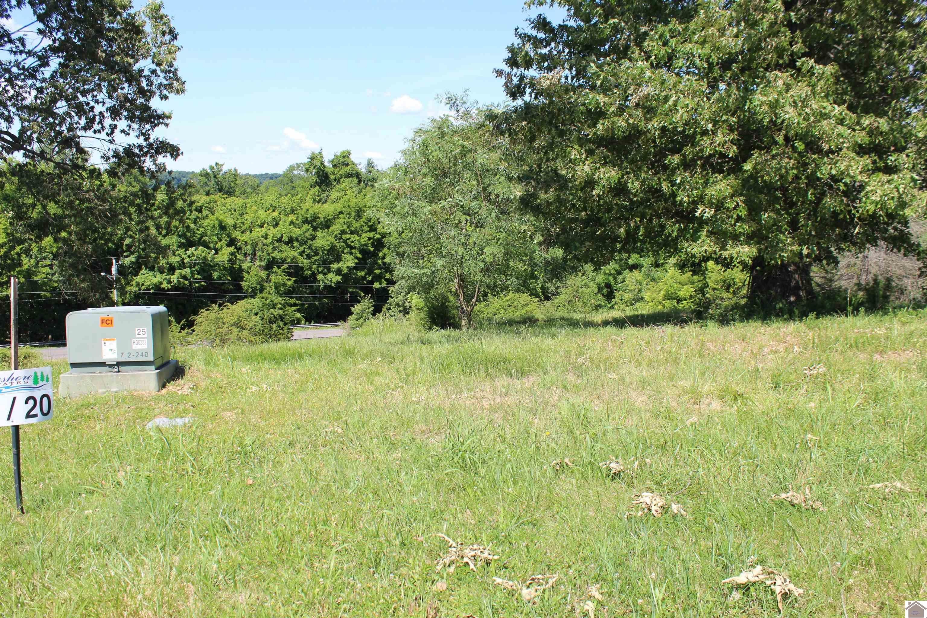 Other - Lot 20 Oak View Lane, Eddyville, KY