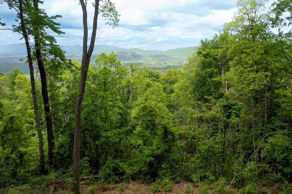 Other - Lt 61 Wilderness Creek Way, Murphy, NC