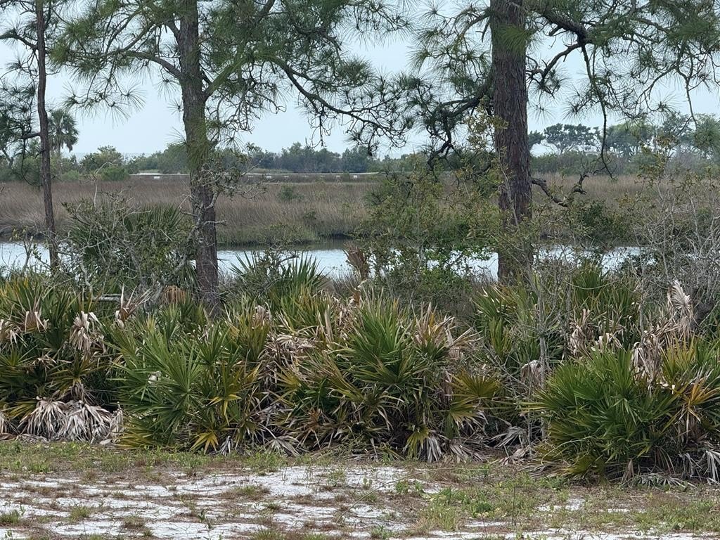 Other - Lot 10 Anna St, Cedar Key, FL
