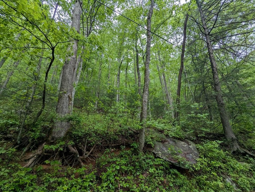 Other - Big Creek, Ellijay, GA