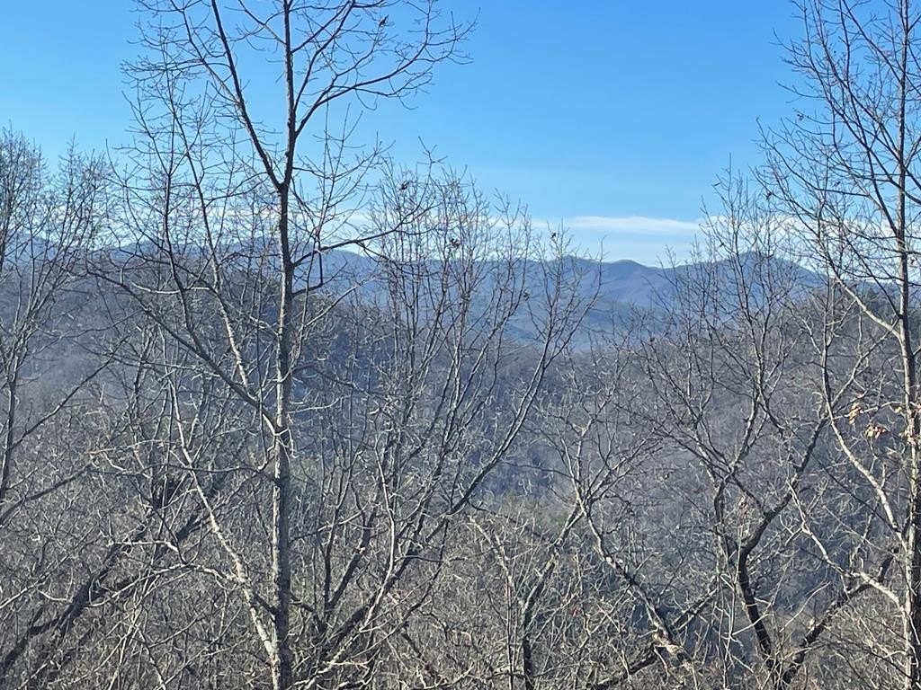Other - Bobcat Trail lot: 64, Bryson City, NC