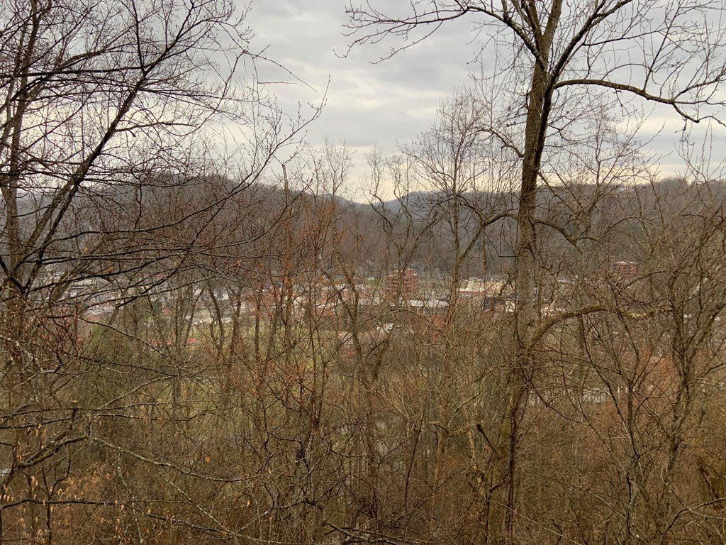 Single Family 1BR 1BA - 102 Smith Hill, Pikeville, KY