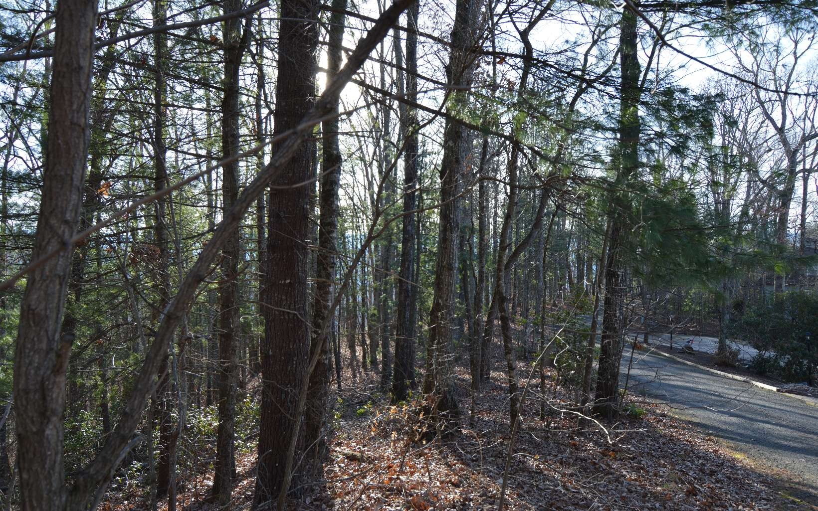 Other - Lot 20 Enchanted Ridge, HAYESVILLE, NC