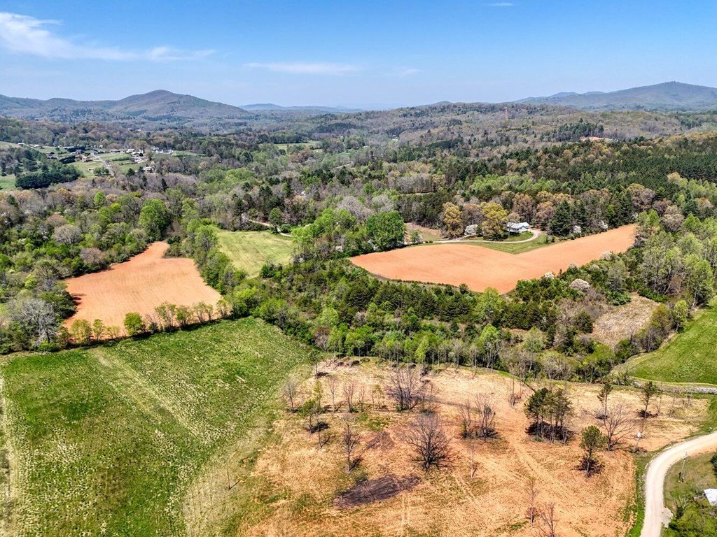 Other - Tract Ii Shuler Road, Blairsville, GA