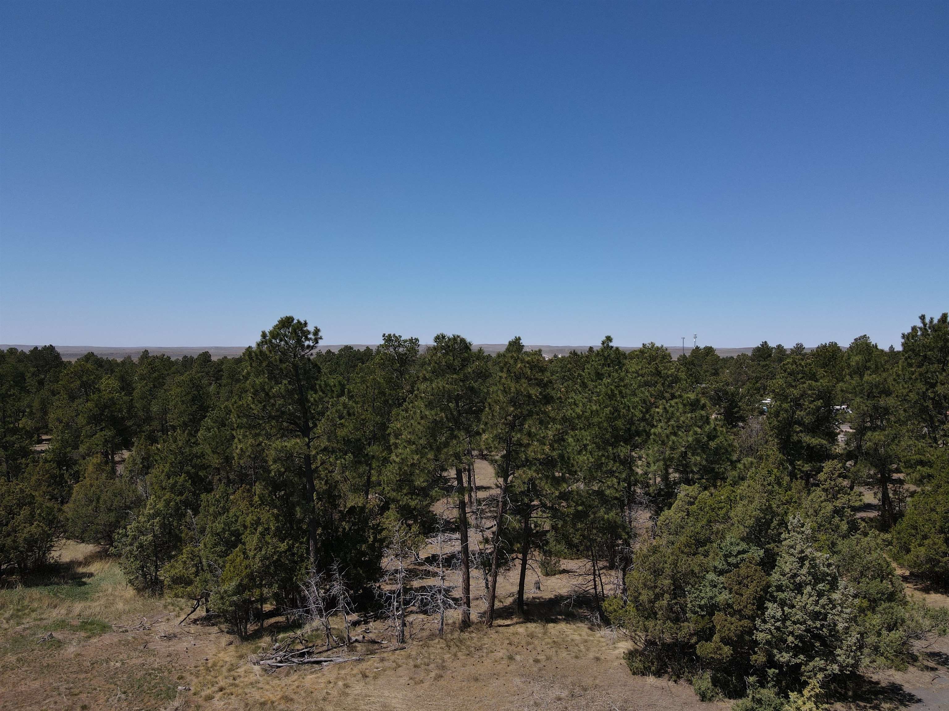 Single Family - TBD Pine Avenue, Upton, WY
