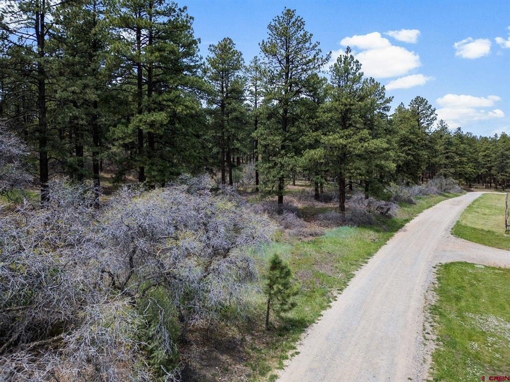 Other - 135 Meadow Lane, Bayfield, CO