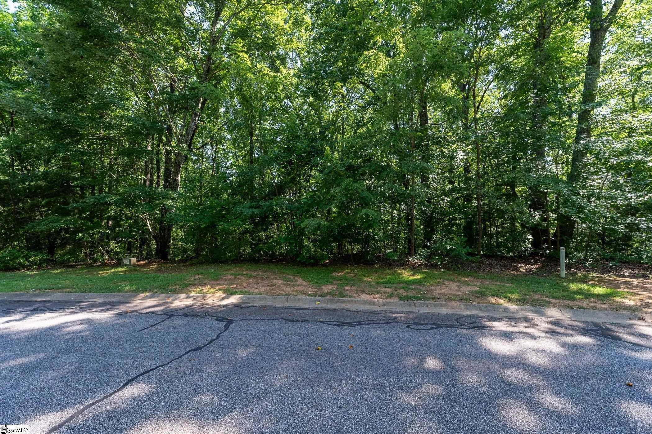 Other - 317 Laurel Valley Way, Travelers Rest, SC