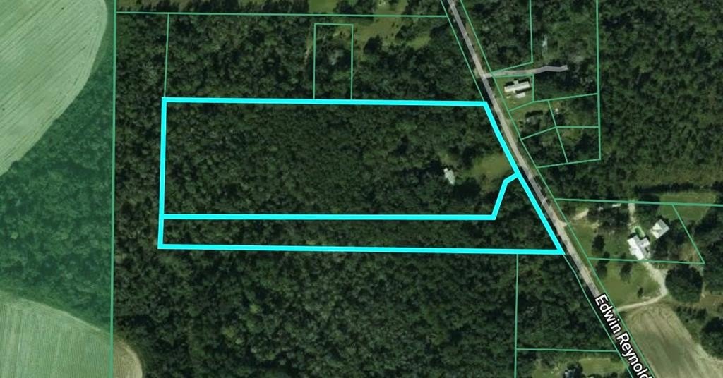 Single Family - 612 Edwin Reynolds Road, Cottonwood, AL