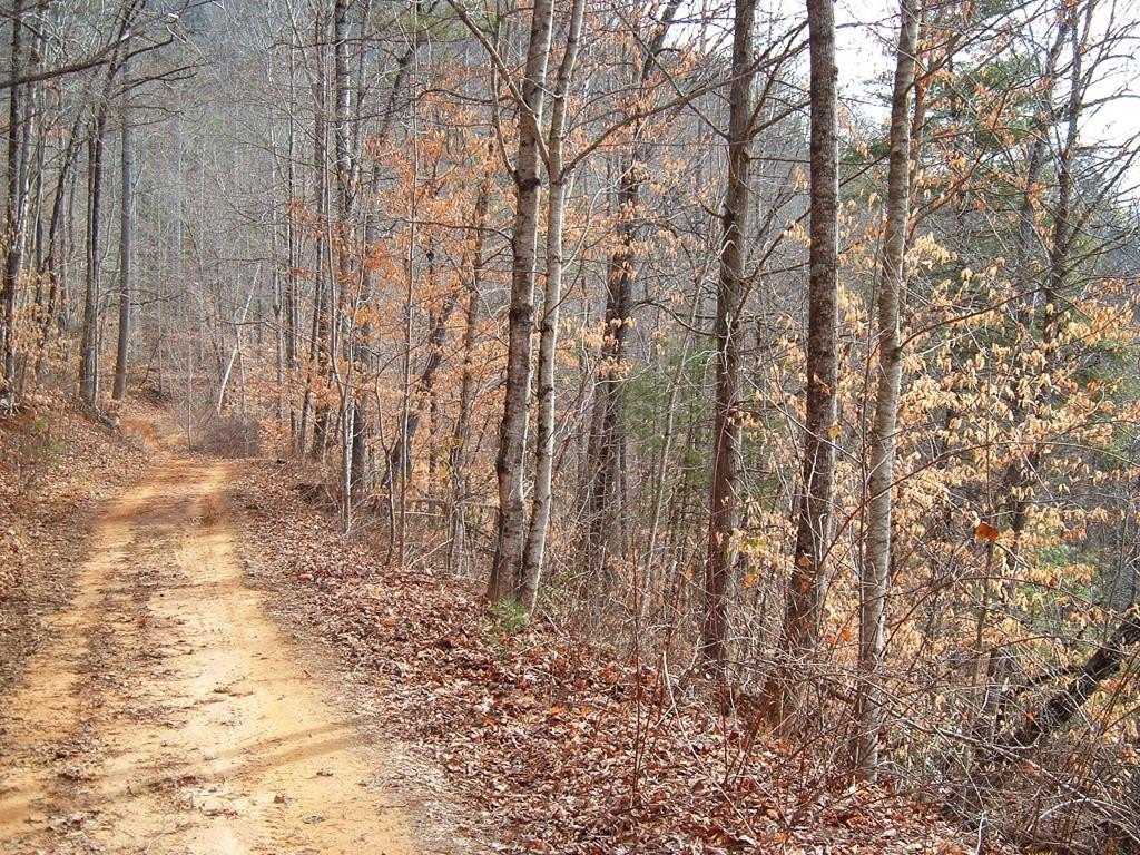 Other - Cedar Cliff/Stovall lot: 14, Tuckasegee, NC