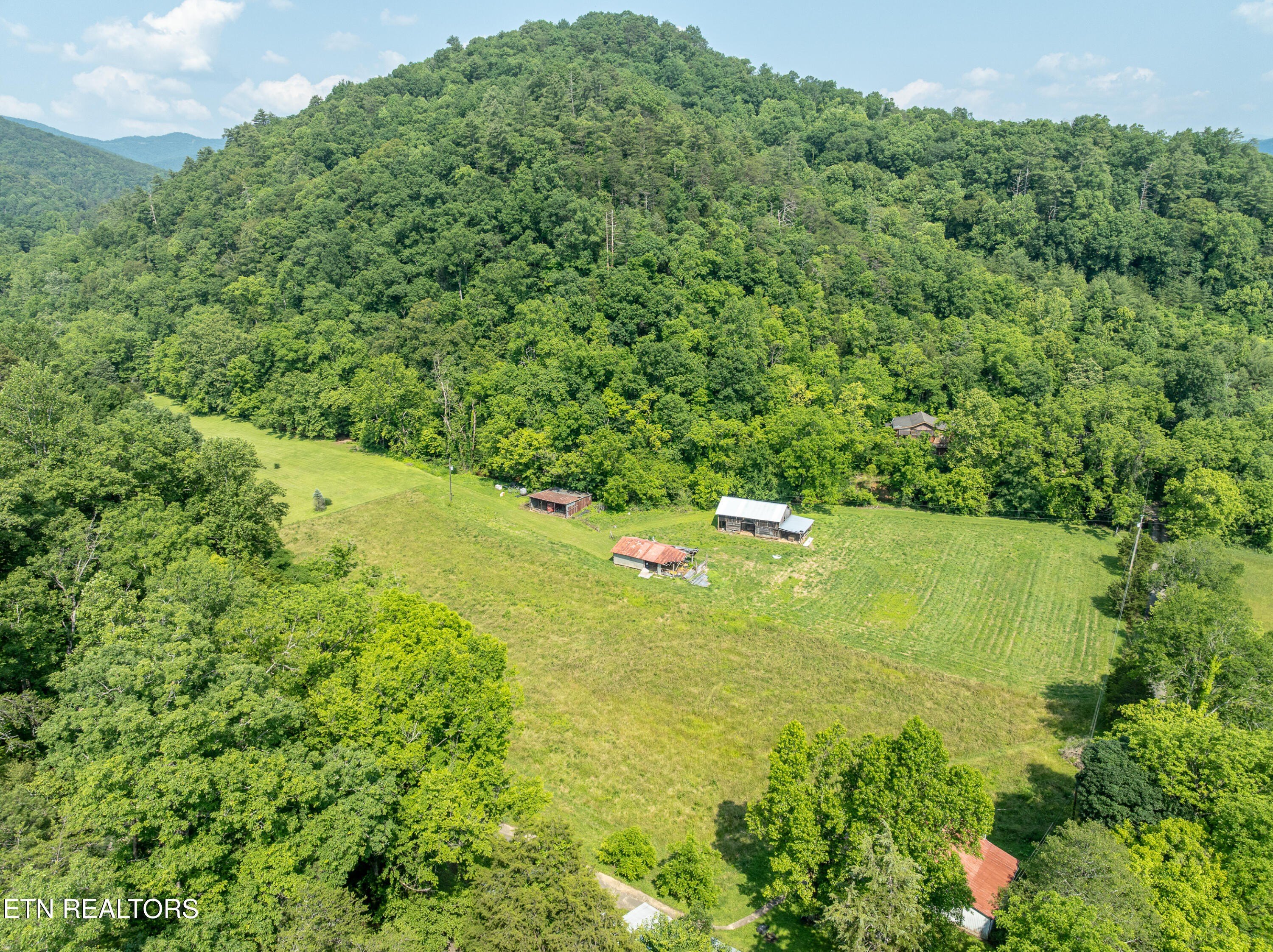Single Family 3BR 1BA - 468 Rudd Rd, Townsend, TN