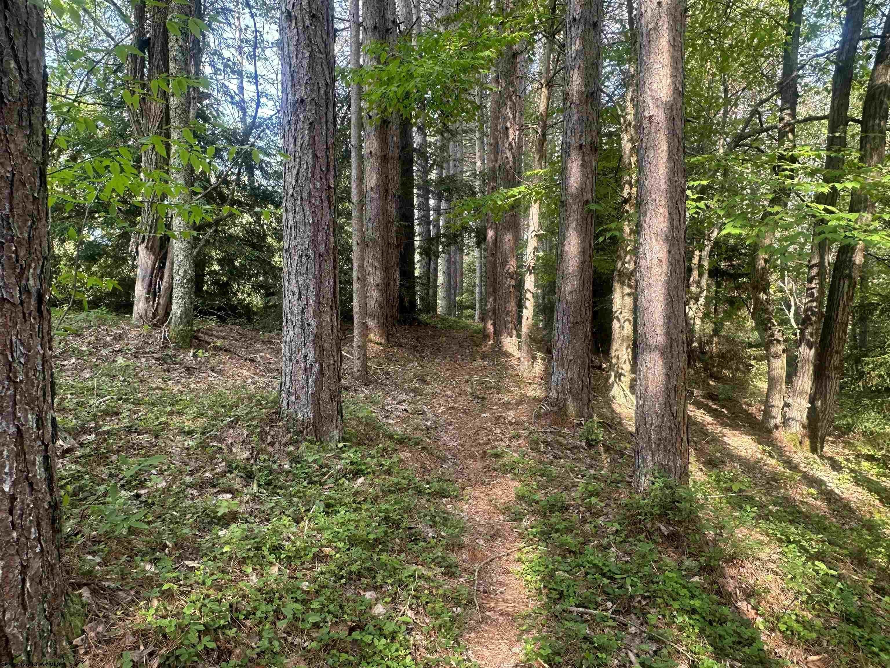 Other - Lot 70 Monte Carlo Court, Davis, WV