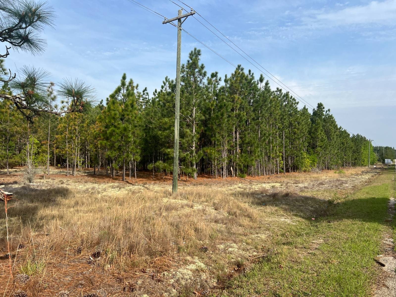 Other - TBD 8.5 Ousleydale Road, Hartsville, SC