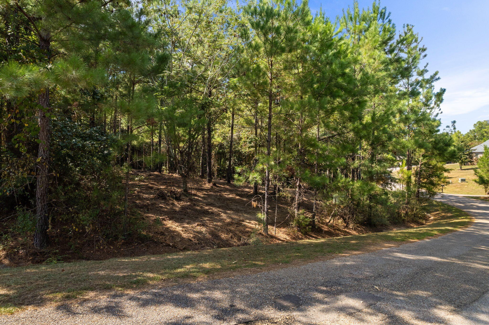 Single Family - 14 Rabbit Trail, Hattiesburg, MS