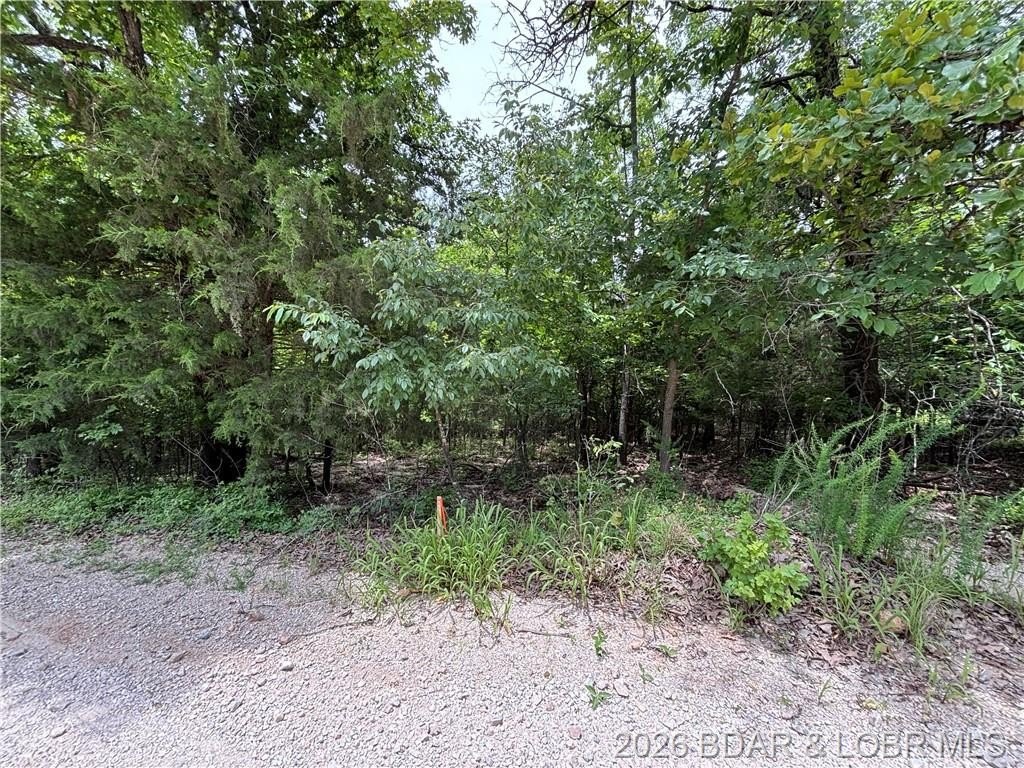 Other - 31222 Idyll Acres, Gravois Mills, MO