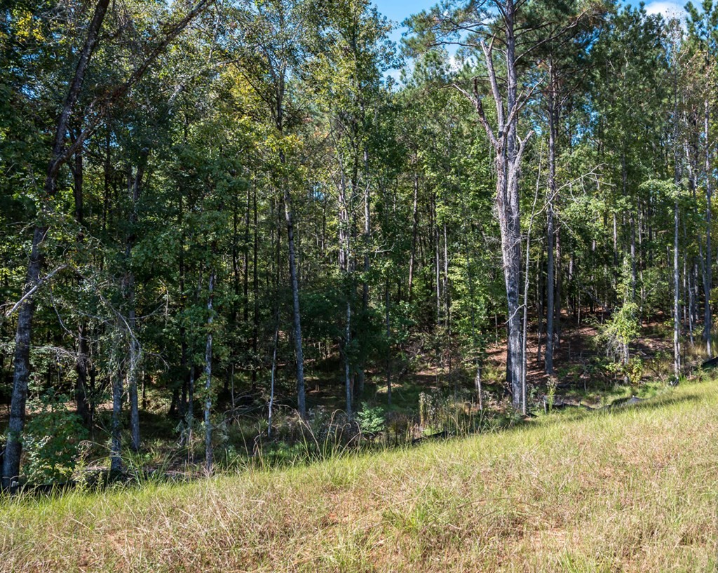 Other - 8817 Creekrise Drive, Columbus, GA