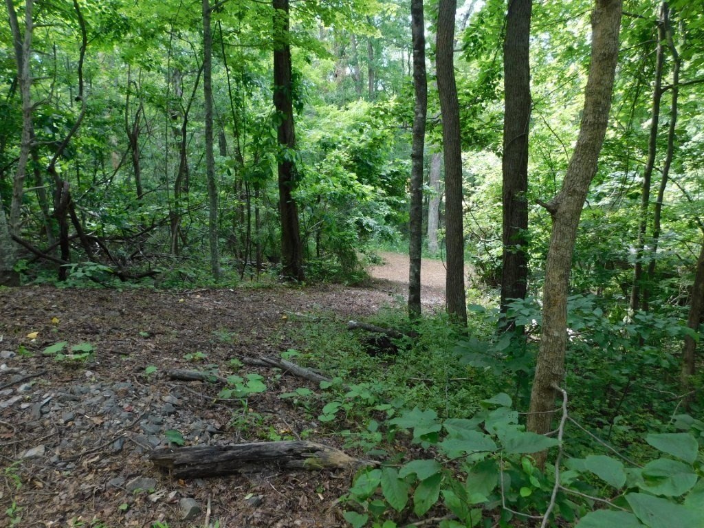 Other - Scotch Pine Dr lot: 360 & 365, Copper Hill, VA