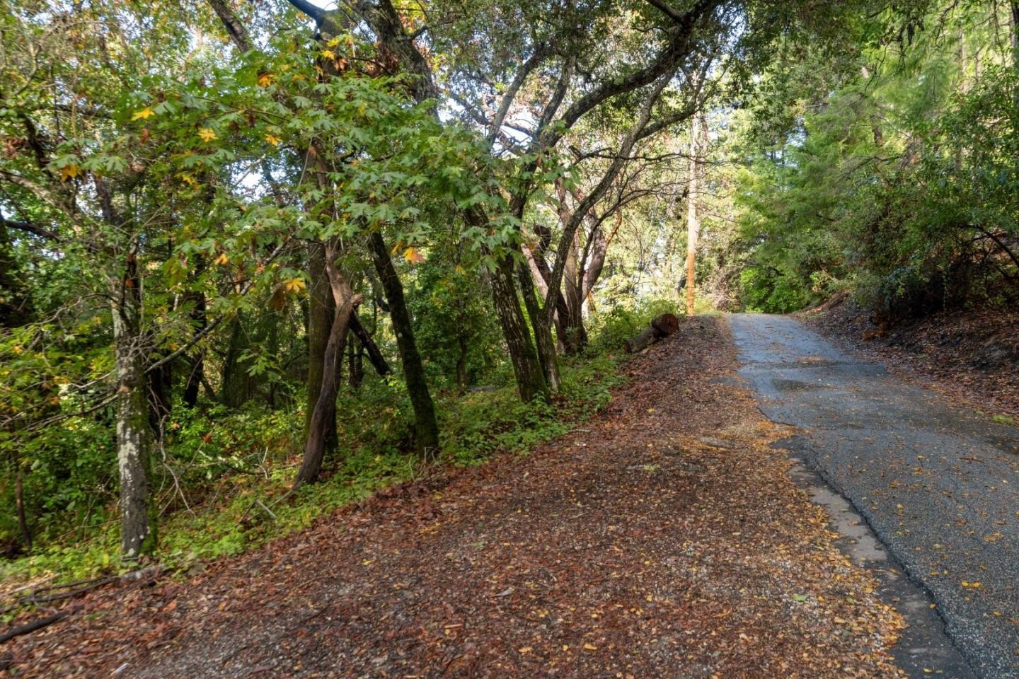 Other - Lot 53 Lakeview AVE, FELTON, CA