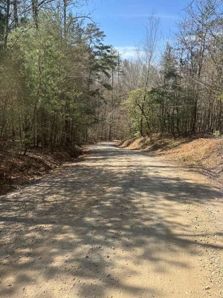 Other - 00 Blue Ridge Heights, HAYESVILLE, NC