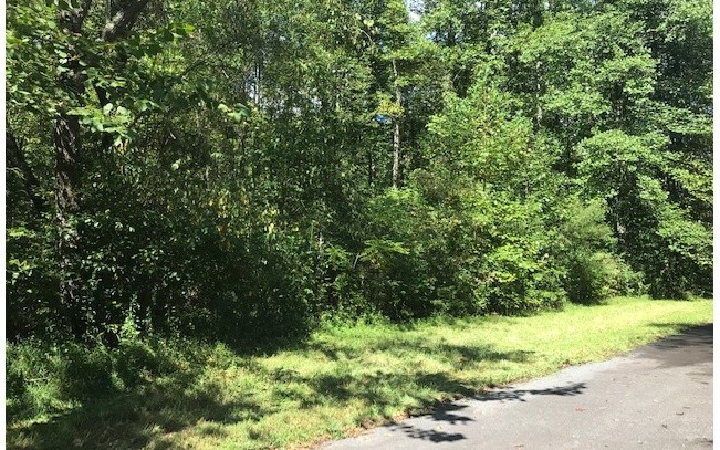 Other - 13 Tusquittee Crossing, Hayesville, NC