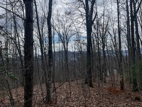 Other - Winding Way Drive lot: 36,37, Franklin, NC