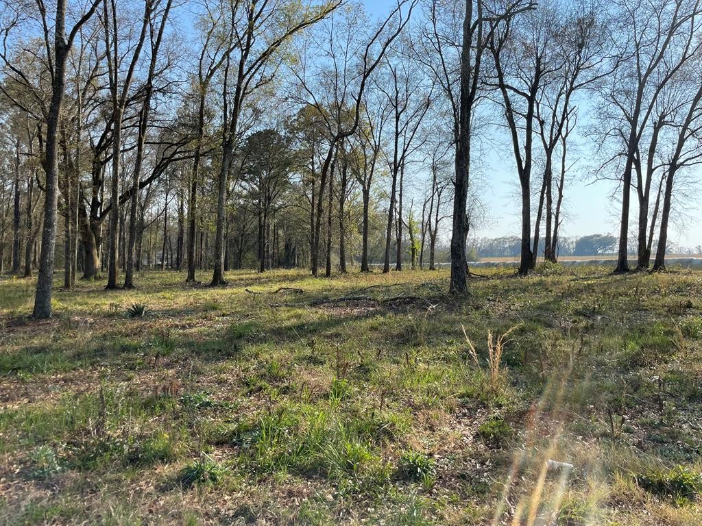 Single Family - 0 Lot I Prevatt Rd, Cowarts, AL