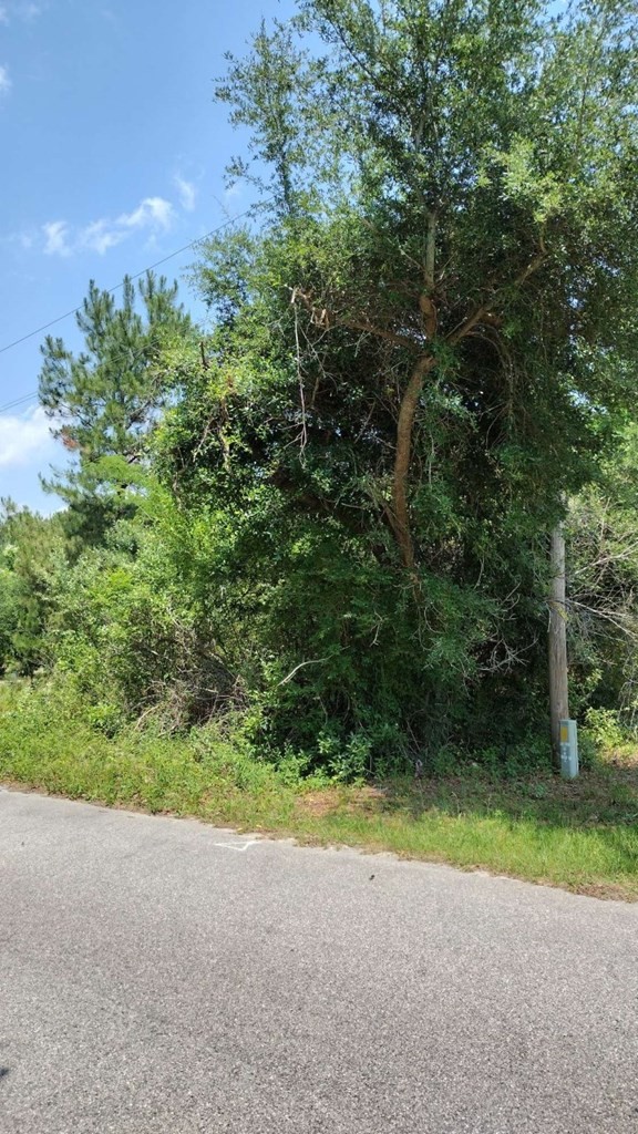 00 lot2 Meagen Ln  